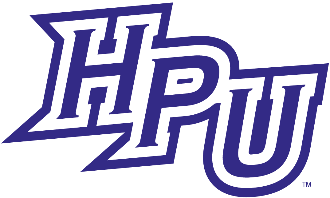 High Point Panthers 2012-Pres Primary Logo DIY iron on transfer (heat transfer)